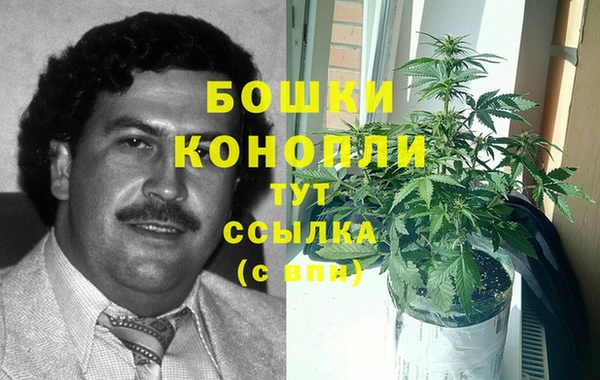 PSILOCYBIN Медвежьегорск