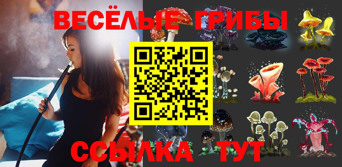 Псилоцибиновые грибы Psilocybe  Владивосток 