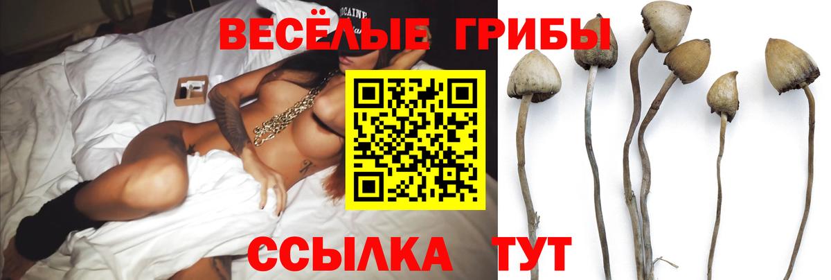 Галлюциногенные грибы GOLDEN TEACHER  Вход с VPN  где продают   Владивосток 